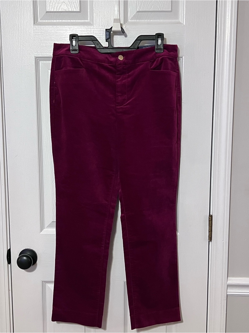 Talbots Burgundy Velveteen Straight Leg Pants 10P High Waist